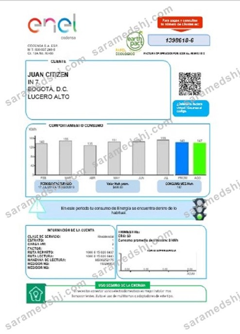 Colombia ENEL energy utility bill